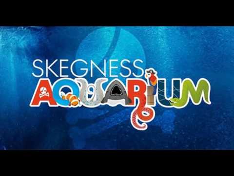 Skegness Aquarium