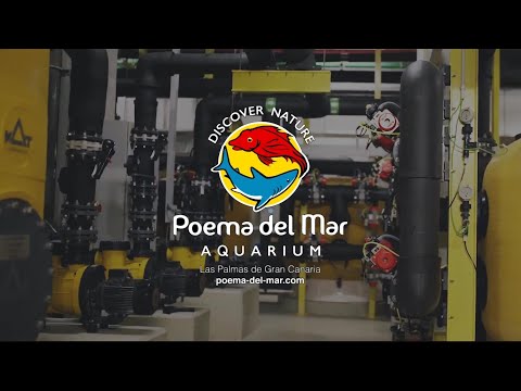 The Heart of Poema Del Mar Public Aquarium