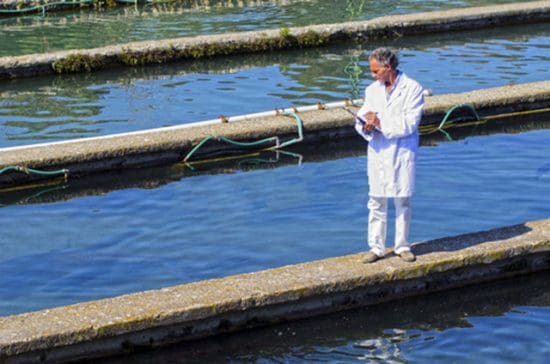 Recirculating Aquaculture Services
