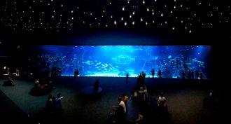 Deep Sea Aquarium in Poema del Mar