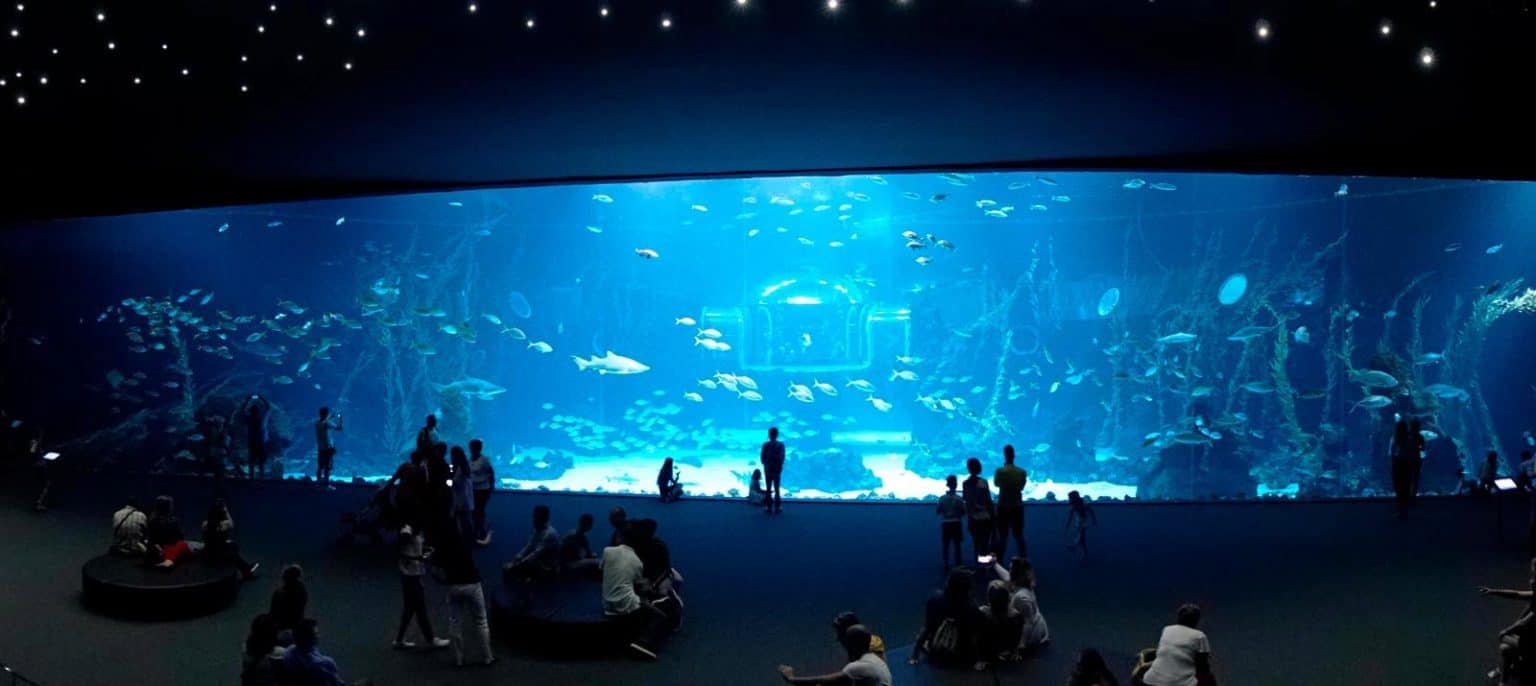 Beautiful view of Largest Aquariums On The Market