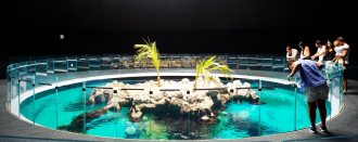 The facility has various aquarium exhibits