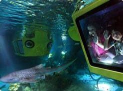 Dubai Legoland Atlantis Ride Aquarium