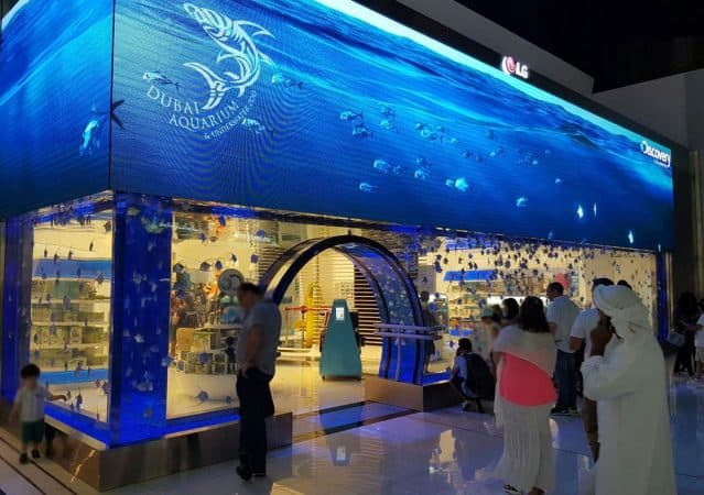 Dubai Mall Aquarium Retail Shops