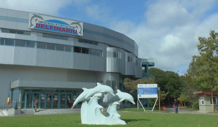 MAT LSS manufactures the Life Supports Systems of the Dolphinarium