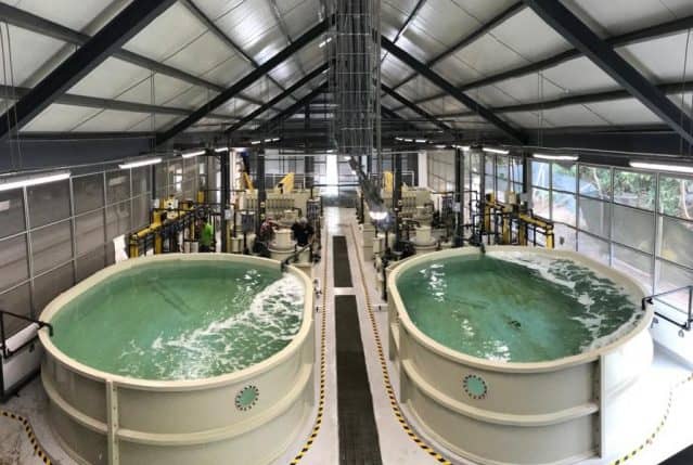 Biomuseo Quarantine Facility & Filtration Room