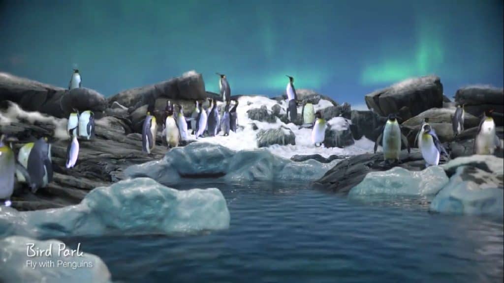 Penguins - Mandai Zoo Penguins - Mandai Zoo