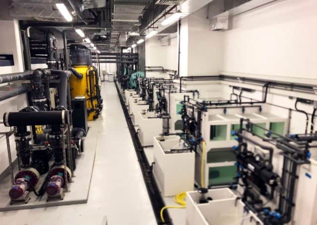 Quarantine tanks in Aquarium Filtration Room