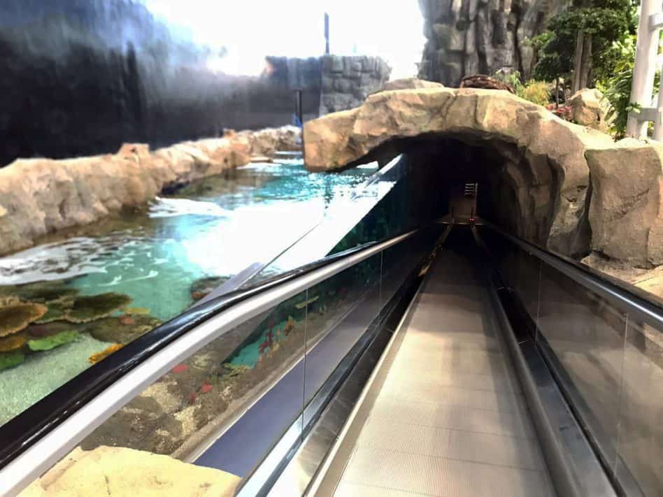 Kuwait Cultural Centre Aquarium Groupe Coutant MAT LSS