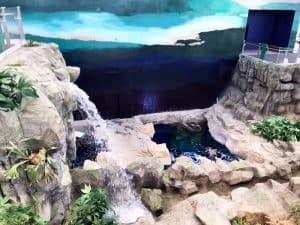 Kuwait Coutant Project Aquarium Ponds