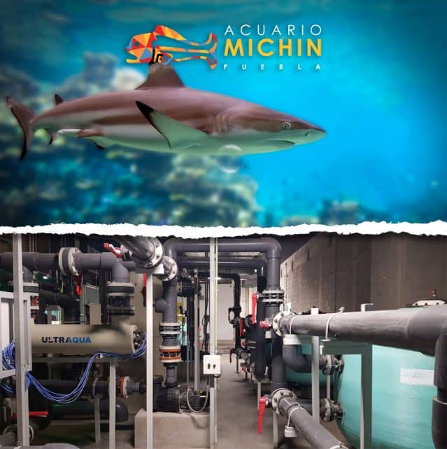 Michin Aquarium – Puebla, Mexico