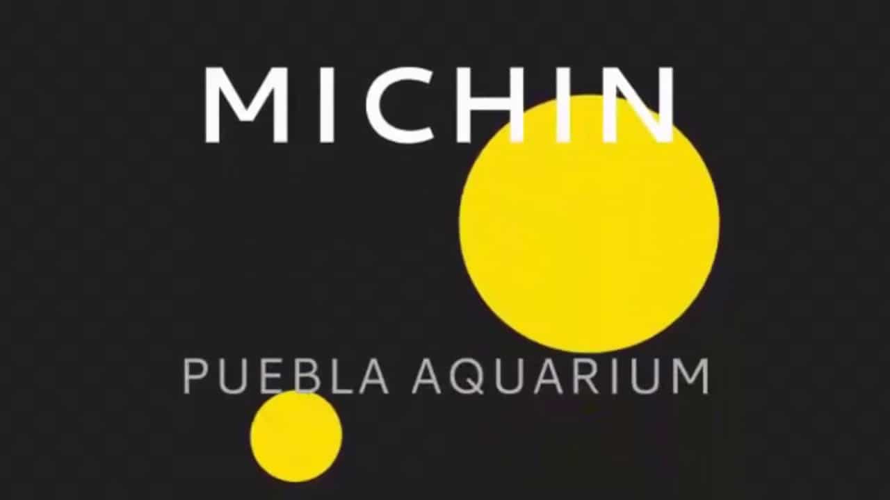Michin Puebla Aquarium