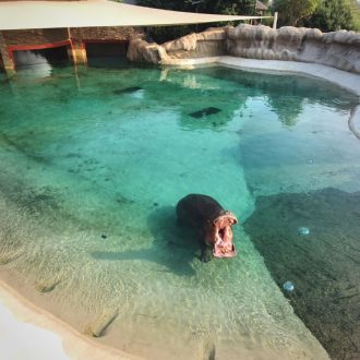 Dubai Safari Park