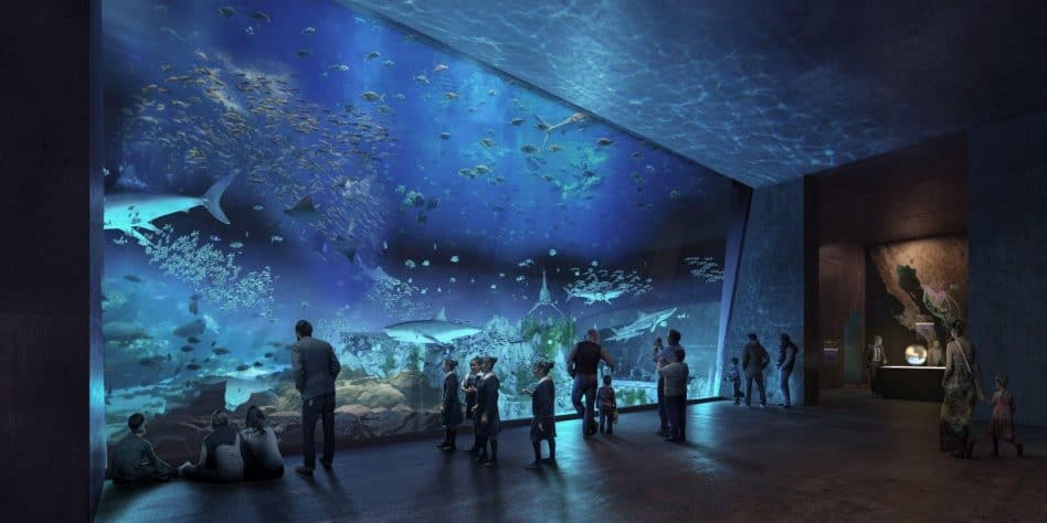 The Main Aquarium of the Facility