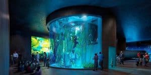 Cylinder Aquarium