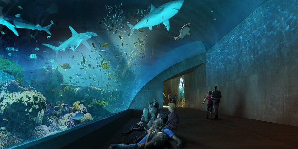 MAZATLAN New Aquarium, Mexico | Projects - MAT LSS