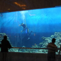 Operating first Turkey's large commercial aquarium tank at the Panora Mall