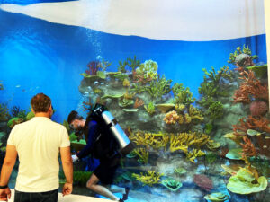 Aquarium Maintenance and Inspection