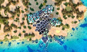 Amaala Red Sea Global Marine Life Institute LSS awarded to MAT