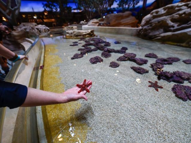 SeaWorld Abu Dhabi Aquarium & Yas Research Center ALSS