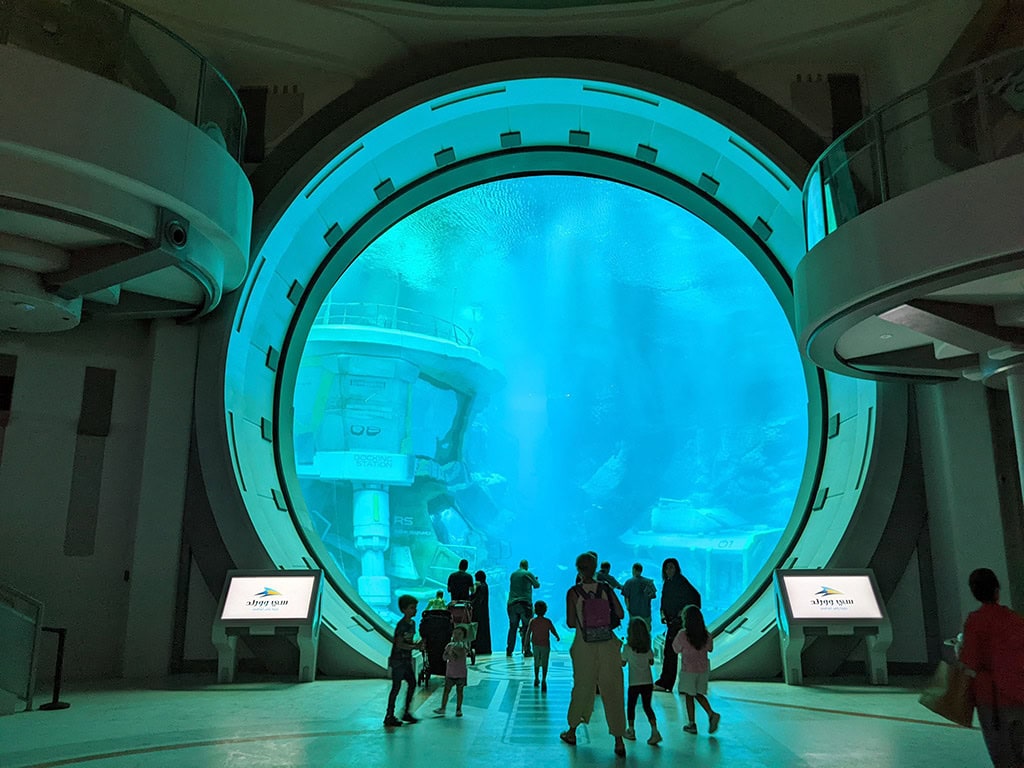 SeaWorld Abu Dhabi - Largest Aquarium of the World.